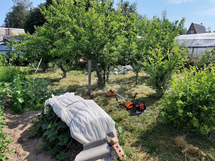 Дача 20 м² на участке 10 сот.