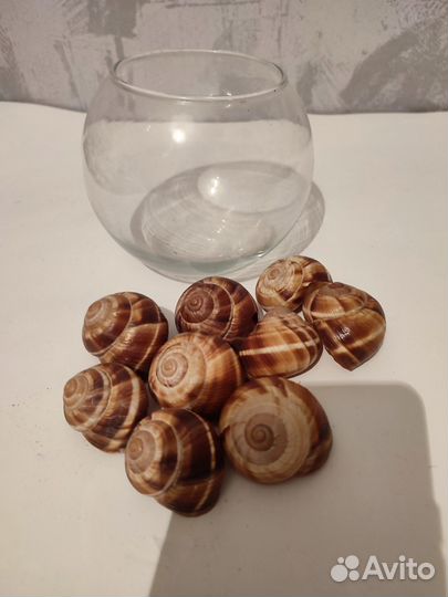 Стеклянная ваза