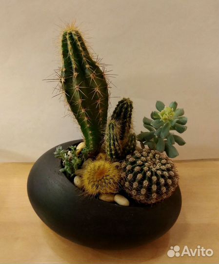 Мини - садик