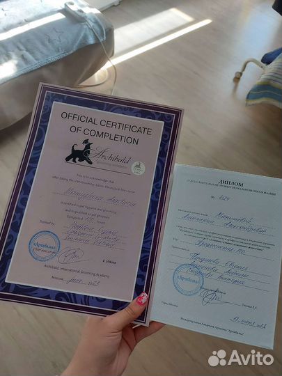 Начинающий грумер