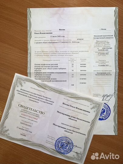 Репетитор по биологии