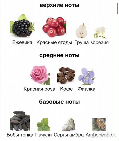 Dolce&Gabbana The Only One 2 (30 ml)