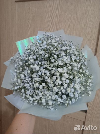 Букет из гипсофилы
