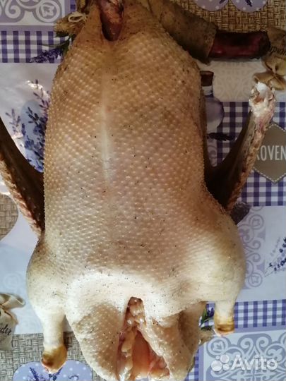 Гусиное мясо