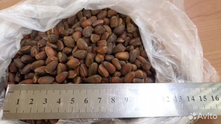 Кедровый орех Нижнеудинский