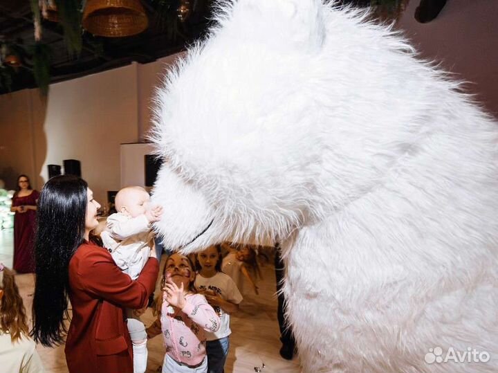 Белый мишка, аниматор