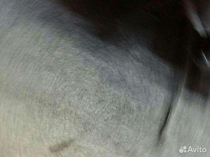 Мото ксенон