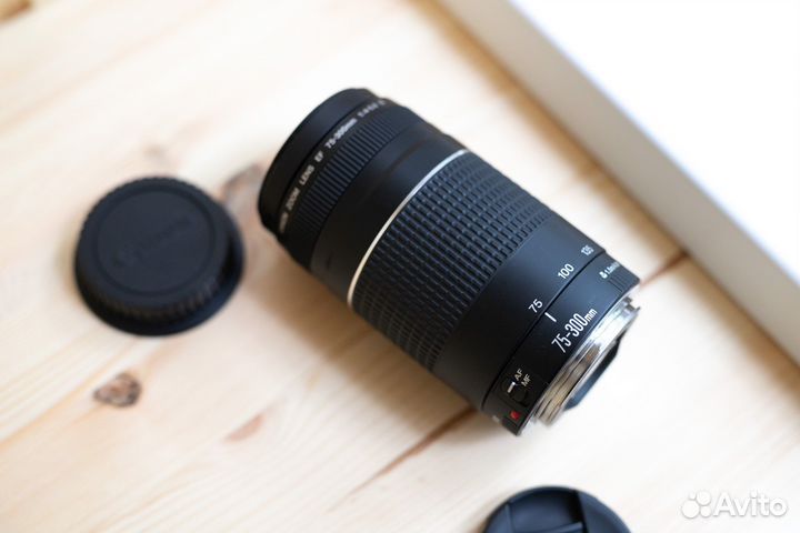 Canon EF 75-300mm f/4-5.6 III