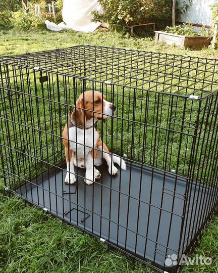 Клетка для собак