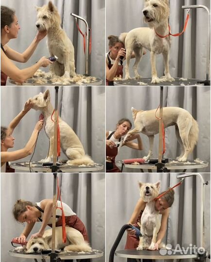 Груминг стрижка собак экспресс линька выческа