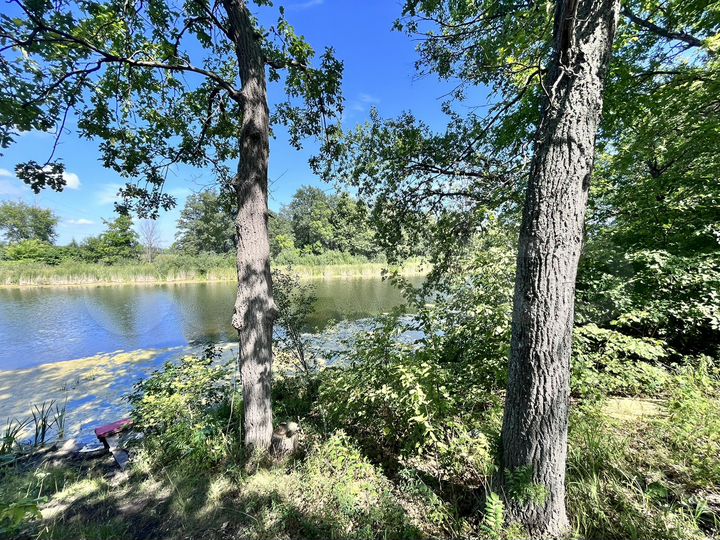 Участок 30 сот. (СНТ, ДНП)