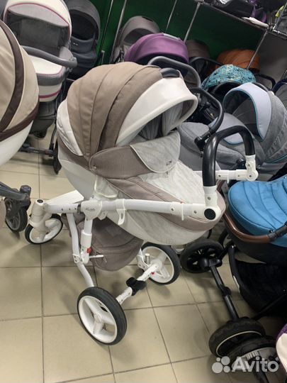 Коляски adamex anex