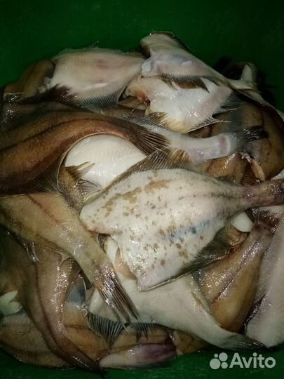 Рыба свежемороженая