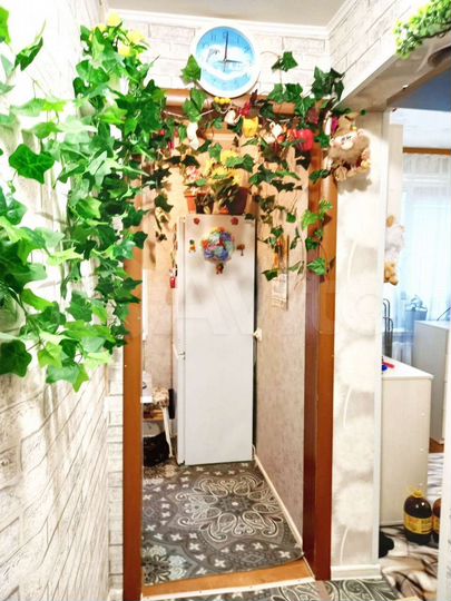 1-к. квартира, 26,5 м², 1/2 эт.