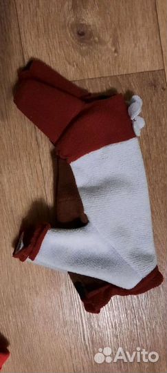 Одежда, шлейка, лоток для собак мелких пород