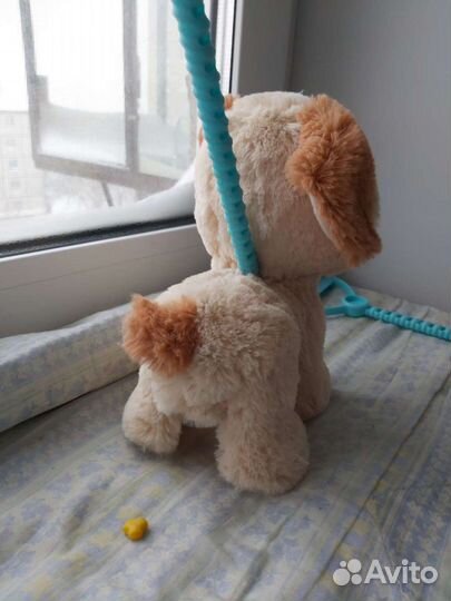 Собака-робот