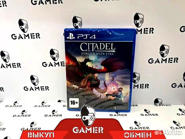 Citadel: Forget With Fire PS4