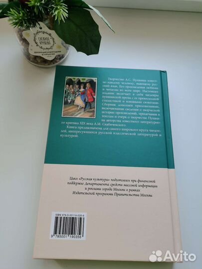 Книга Капитанская дочка