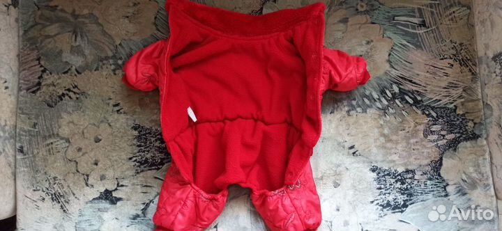 Одежда для собак