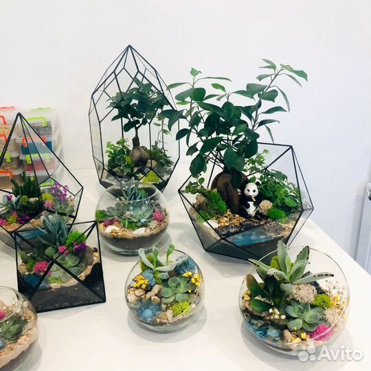 Флорариумы в наличии и на заказ