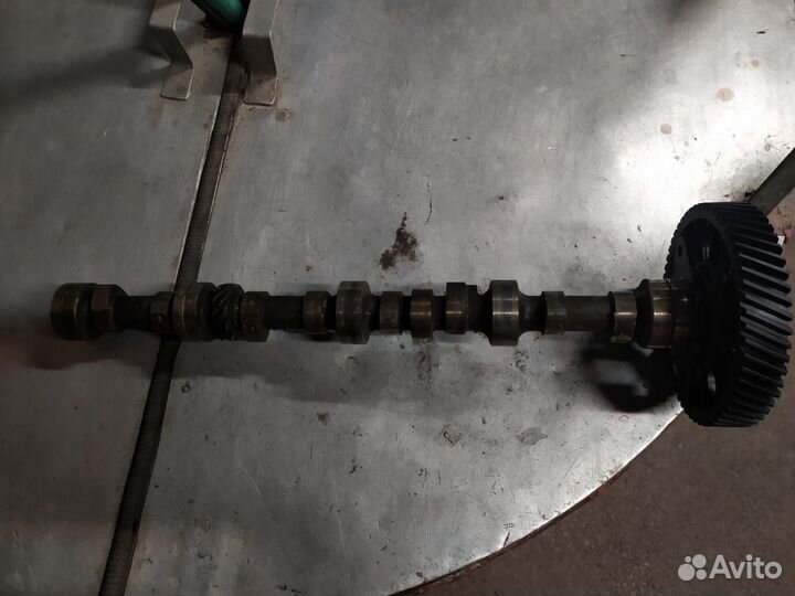 Коленвал и распредвал на умз 4216