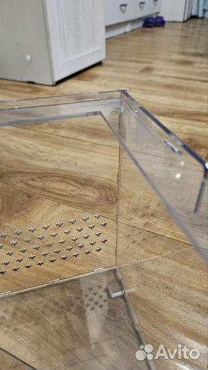 Террариум. комплект для содержания рептилии, змеи