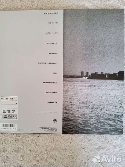 Bryan Adams Виниловые пластинки