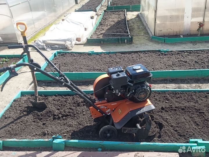Мотоблок культиватор в аренду
