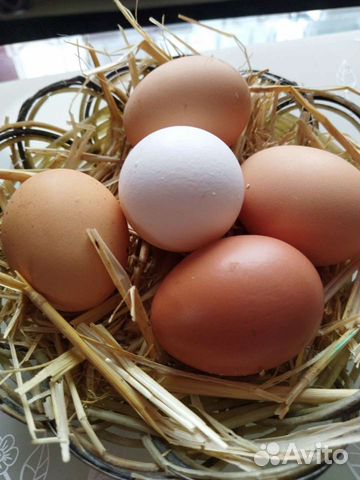 Домашние куриные яйца
