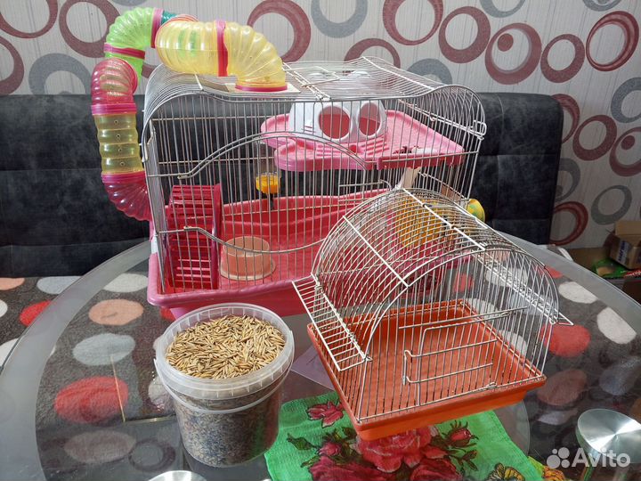 Клетка для хомяка бу