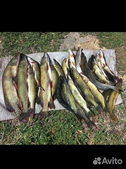 Блесны Атом, формы СССР