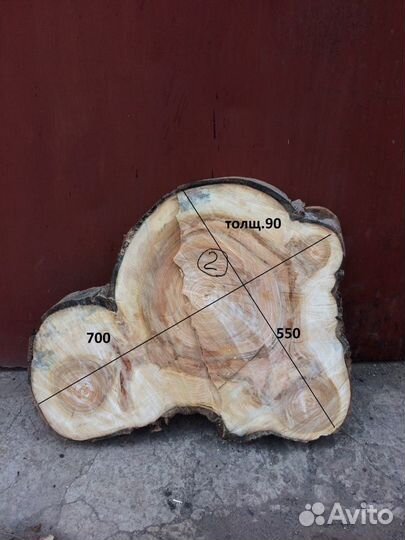 Торцевые спилы деревьев