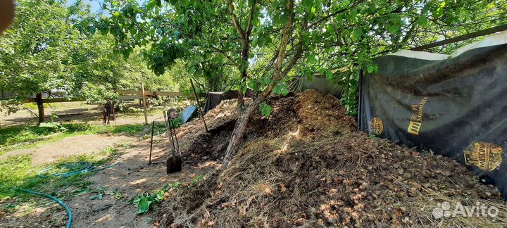 Конский навоз