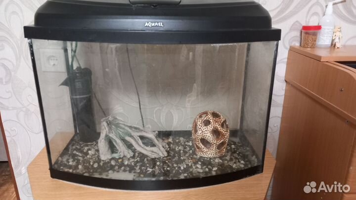 Аквариум