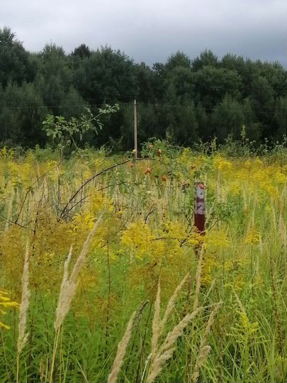 Участок 12 сот. (ИЖС)