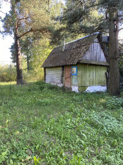 Дом 60 м² на участке 50 сот.