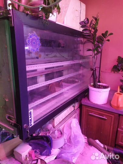 Инкубатор для яиц автоматический бу