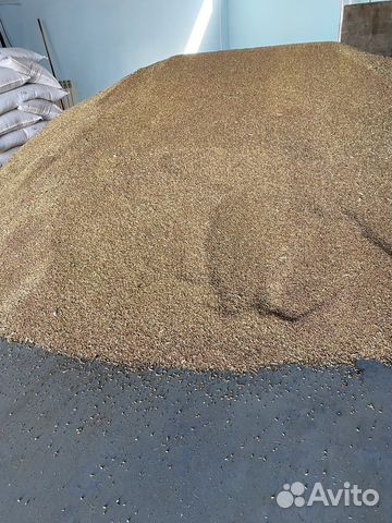 Зерно пшеница ячмень