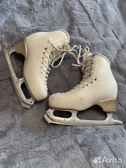 Коньки для фигурного катания edea chorus