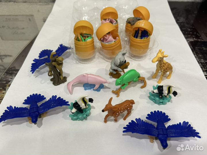 Киндер natoons