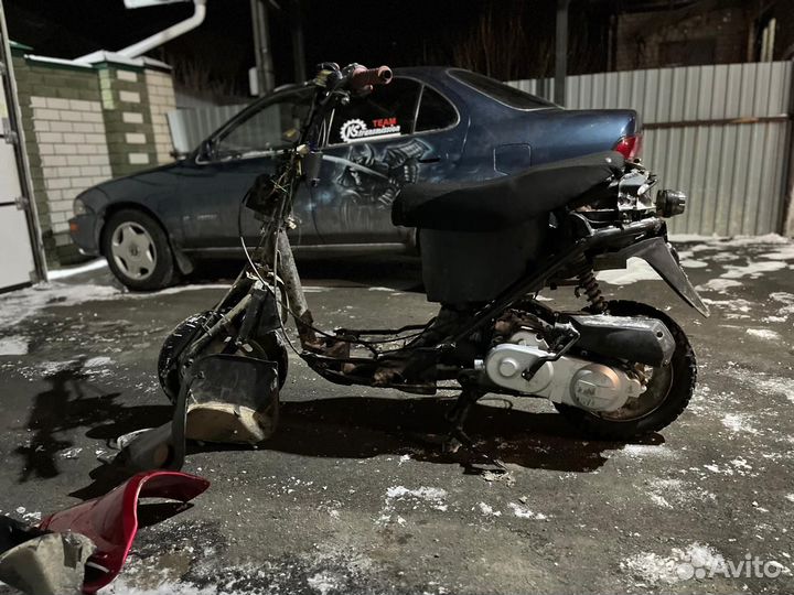 Реймер митиор