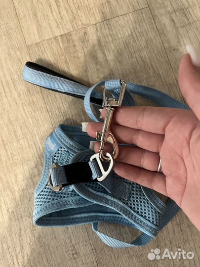 Шлейка для маленькой собаки