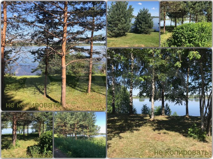 Участок 18 сот. (СНТ, ДНП)