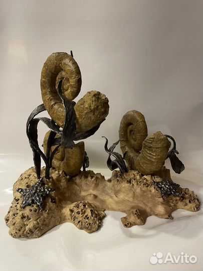 Авторская палеонтологическая инсталляция. Аммониты