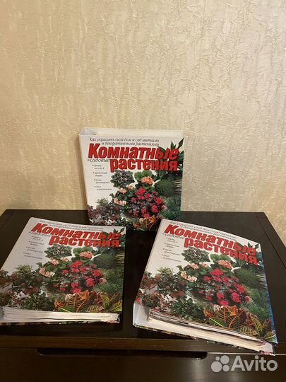 Комнатные растения