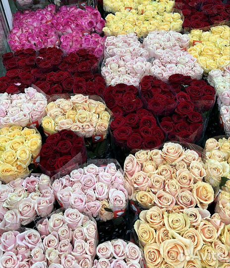 101 Розы 70 см с доставкой