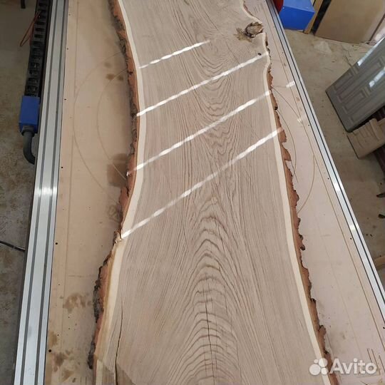 Слэб дубовый. Дуб Кавказский