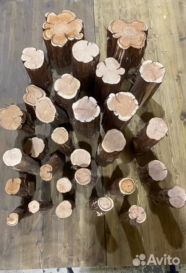 Стволы ароматного сибирского можжевельника 3-32 см