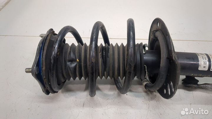 Амортизатор подвески правый передний Honda Accord 10