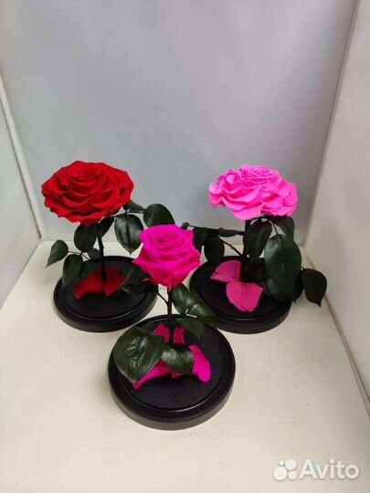 Подарок маме / Розы оптом